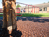 Bonded rubber tree wells installed at Christian Heritage School